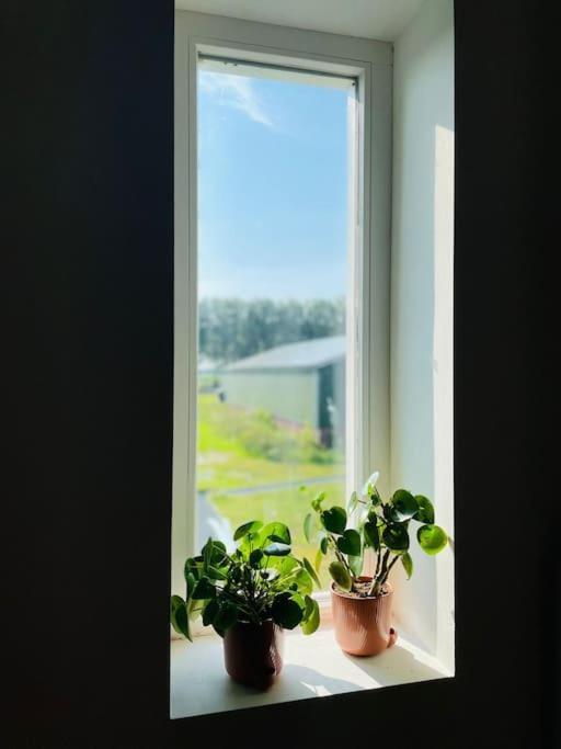 Cozy Appartment On The Farm 루넌안더페흐트 외부 사진
